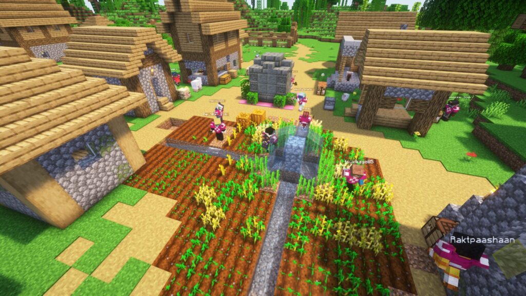 TogetherCraft - Adult Minecraft Server