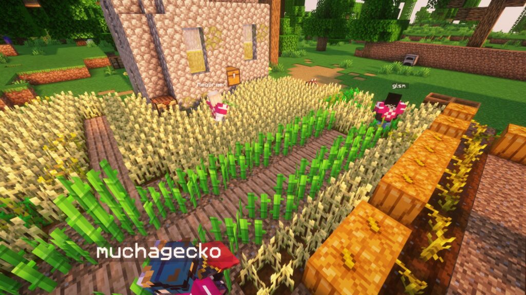 TogetherCraft - Adult Minecraft Server