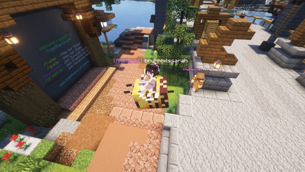 TogetherCraft - Adult Minecraft Server