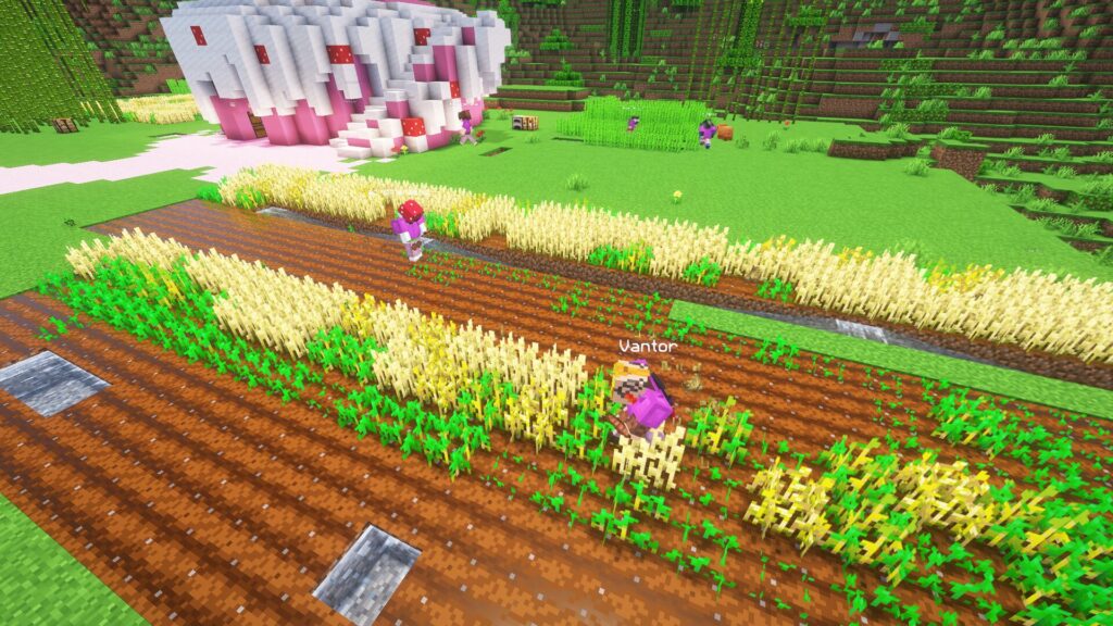 TogetherCraft - Adult Minecraft Server